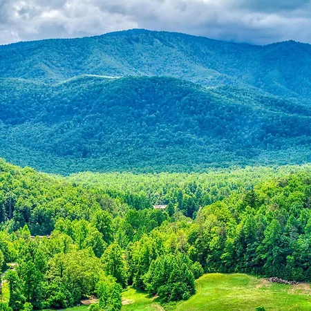Owners Cabin -Pickleball Court, Creek, Wifi, Mountain Views, Starting At 99